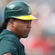 Image for article titled Manny Ramirez Trying To Train Birds To Carry His Pop Fly Balls Over Fence